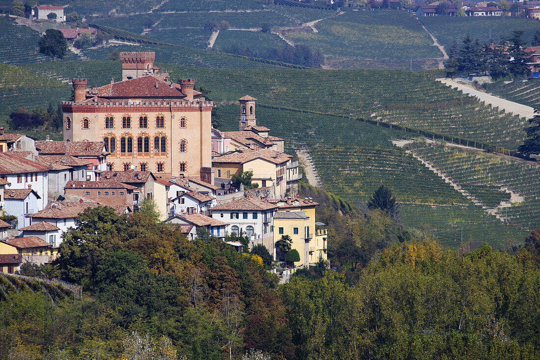 Barolo mit Castello Comunale, Langhe, Piemont, Italien