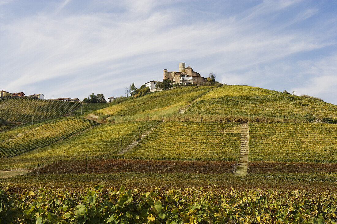 Castiglione Falletto, Langhe, Piemont, Italien