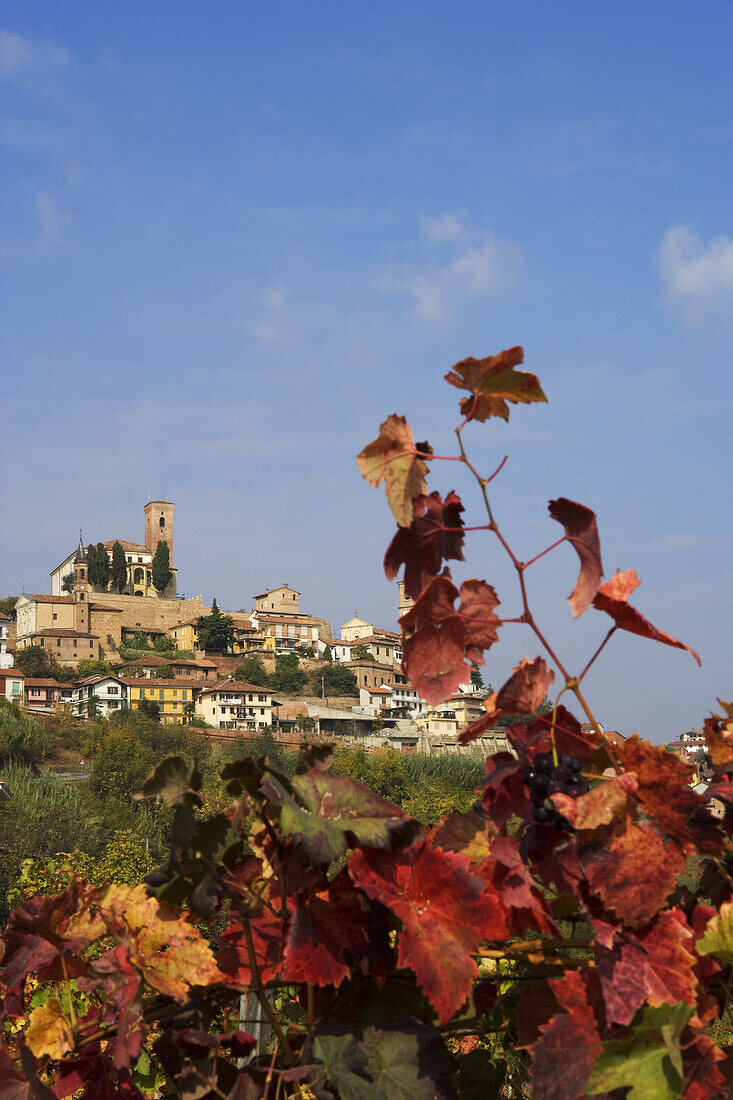 Cisterna d'Asti, Roero, Piedmont, Italy