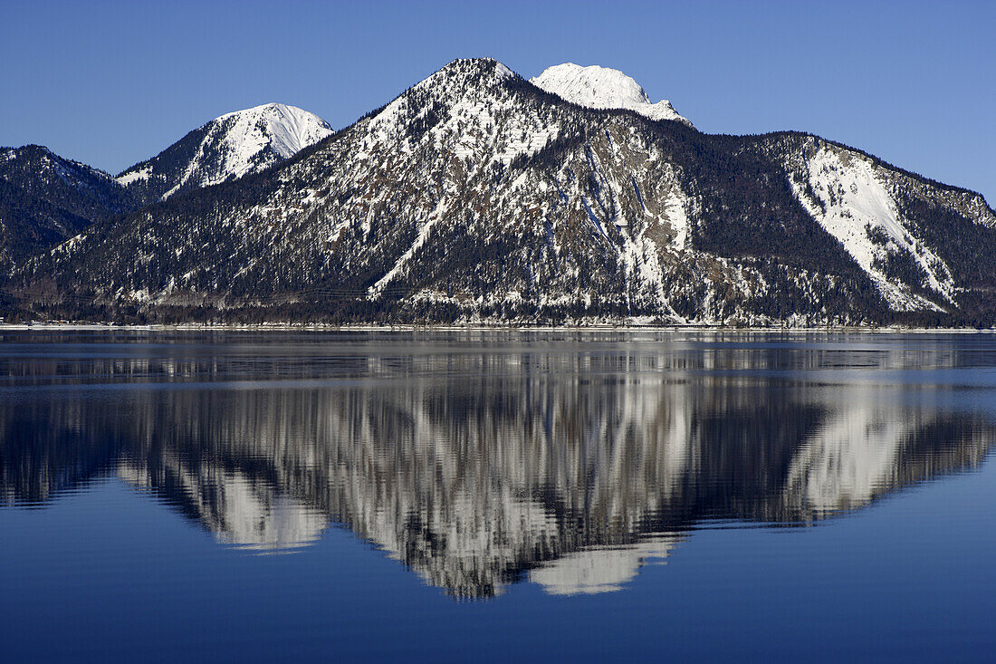 Walchensee and Jochberg with reflection of the mountain in the lake, Upper Bavaria, Bavaria, Germany