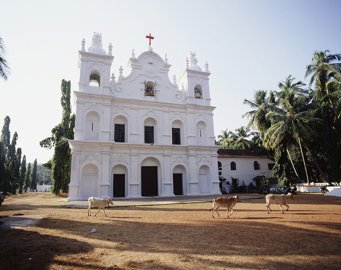 Portugiesische Kirche, Goa, Indien