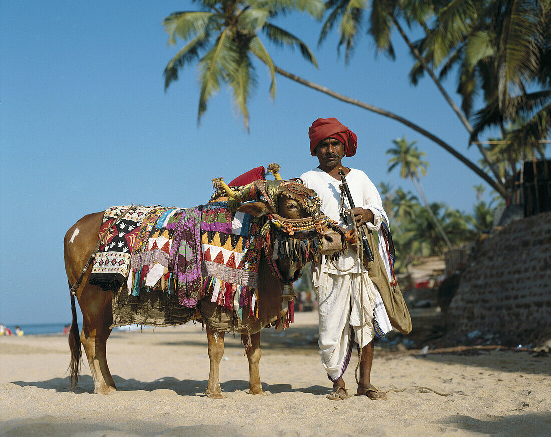 Musiker auf dem Anjuna-Markt, Goa, Indien