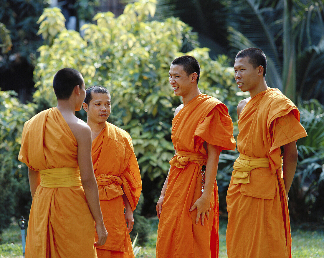 Monks talking together in Thailand