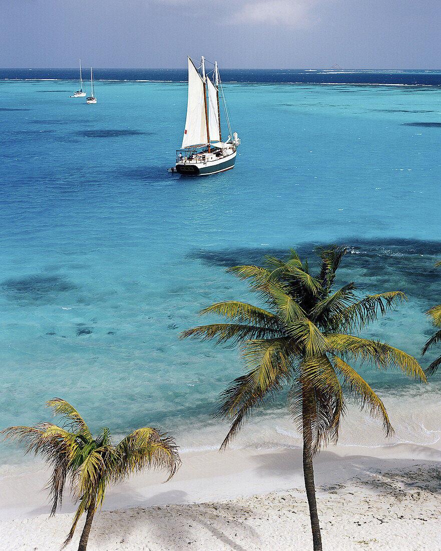 Tobago Cays, Grenadinen, Karibik