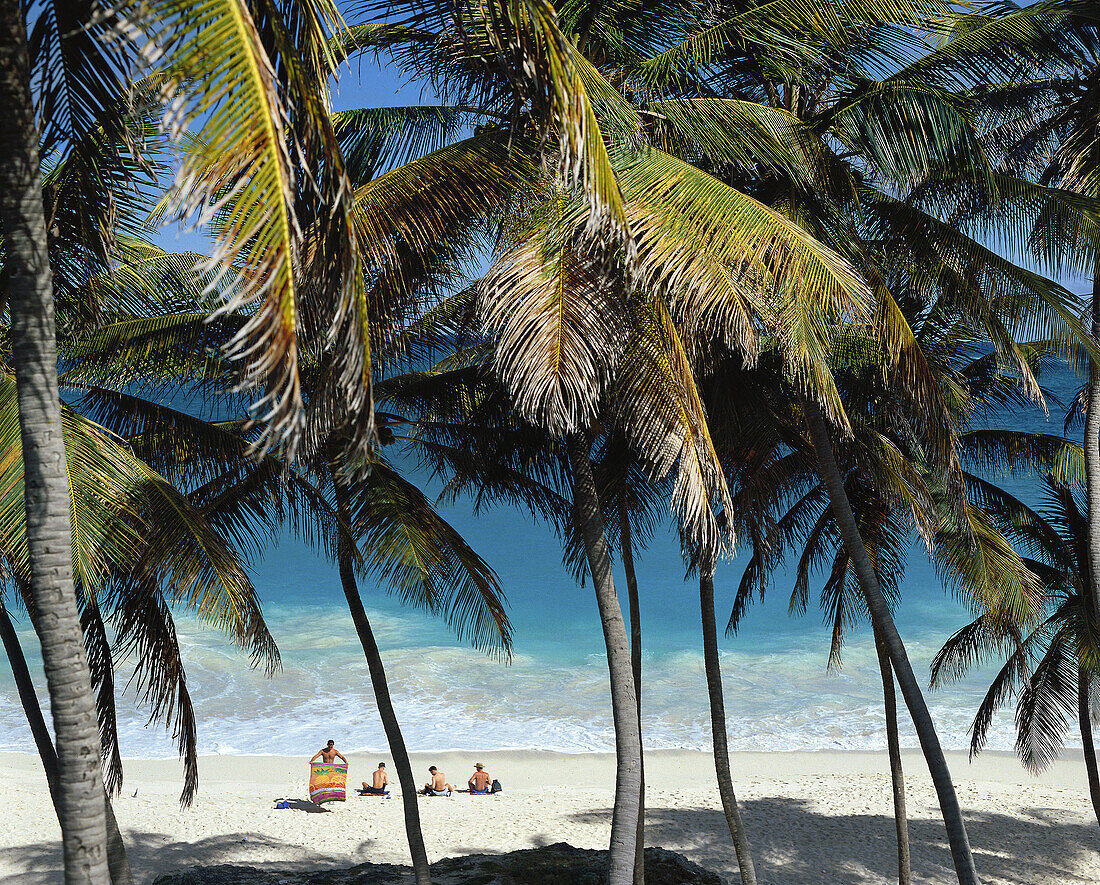 Bottom Bay, Barbados