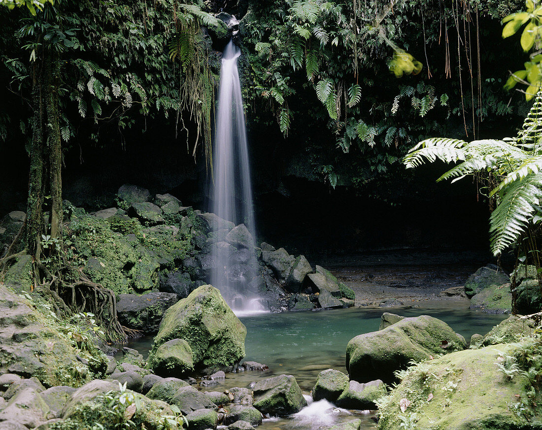 Emerald Pool, Dominica, Caribbean