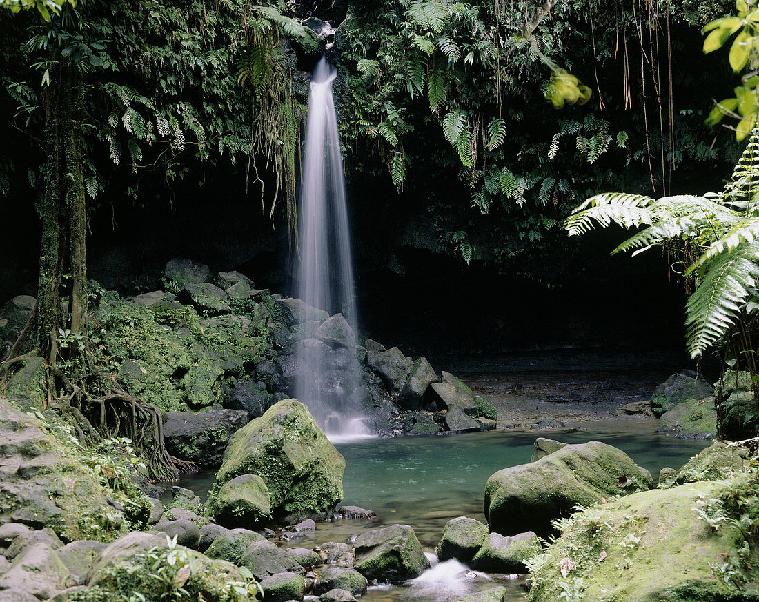 Emerald Pool, Dominica, Karibik