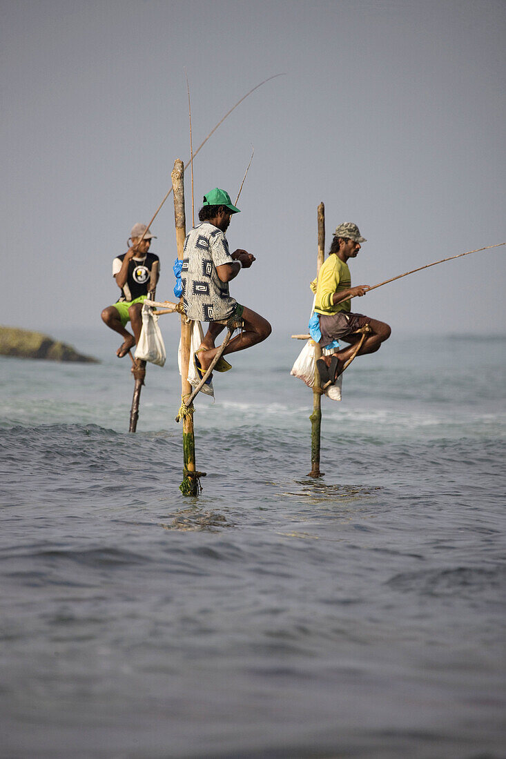 Stilt Fishermen in Koggala, Sri Lanka