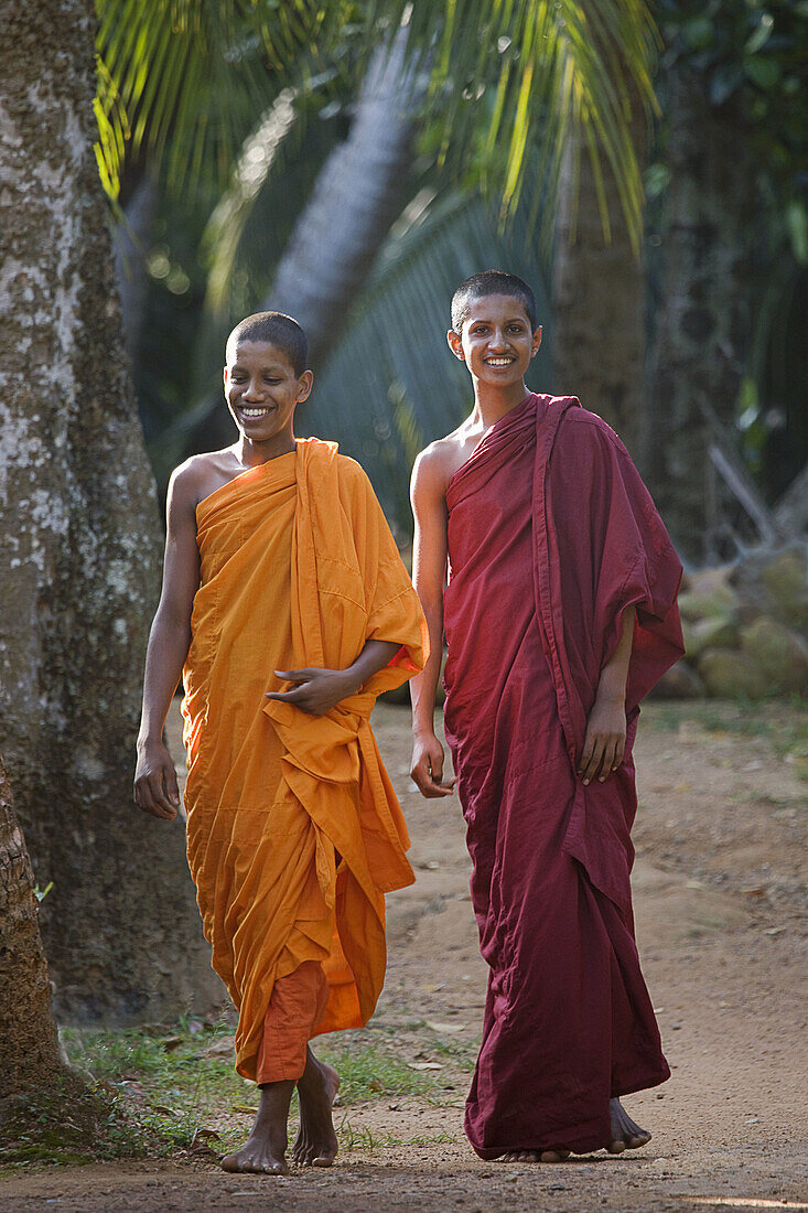 Monks at Weherahena Temple, Matara, Sri Lanka