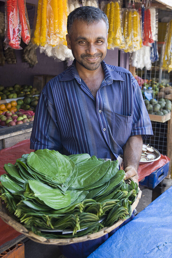 Frische Tabaksblätter, Sri Lanka