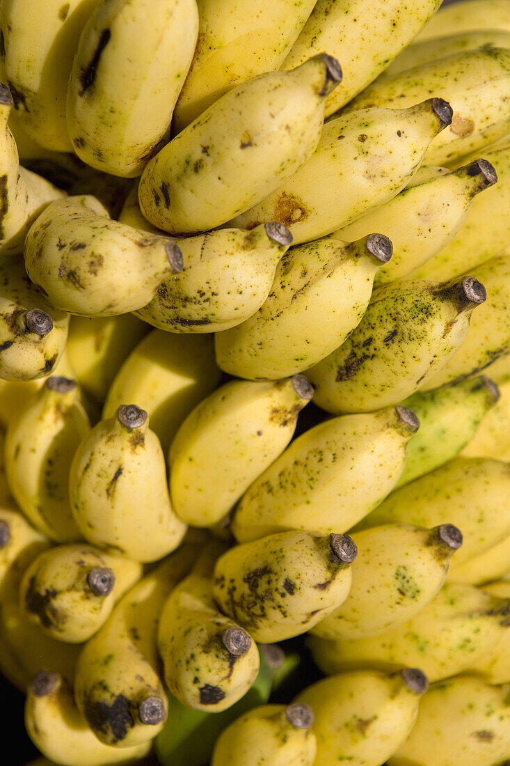 Bananenstaude, Sri Lanka