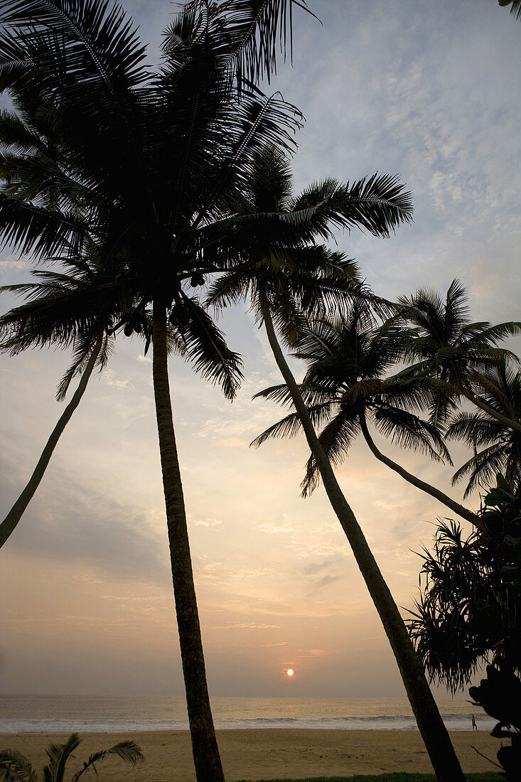 Sonnenuntergang, Hikkaduwa, Sri Lanka