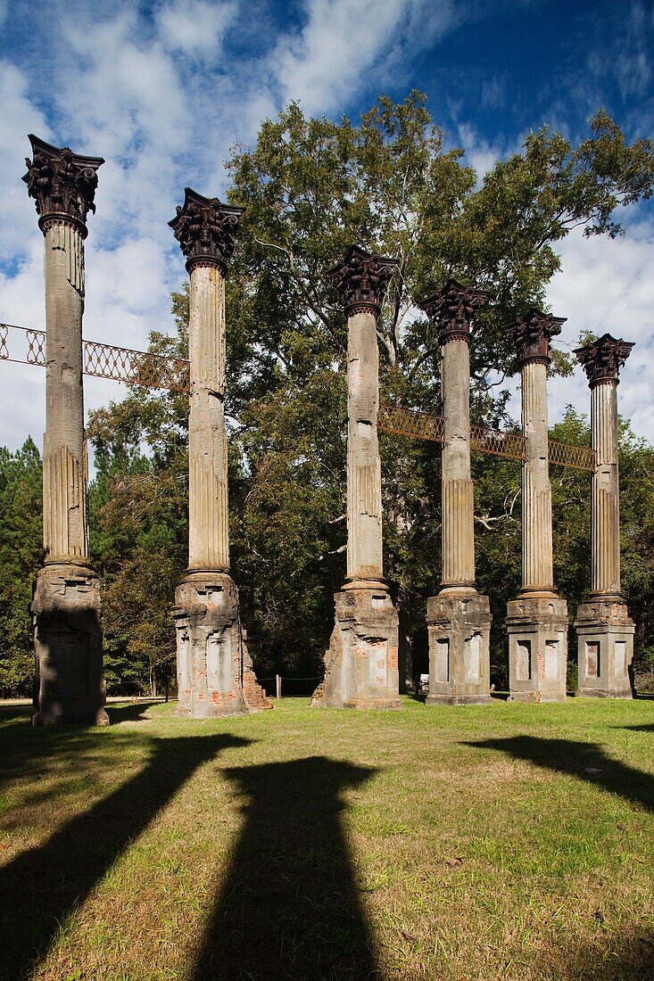 USA, Mississippi, Port Gibson-area, Windsor Ruins, standing columns from former plantation house