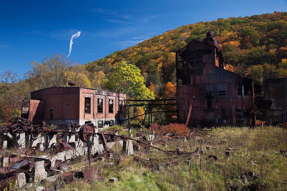 USA, West Virginia, Cass, Cass Scenic Railroad State Park, abandoned saw mill