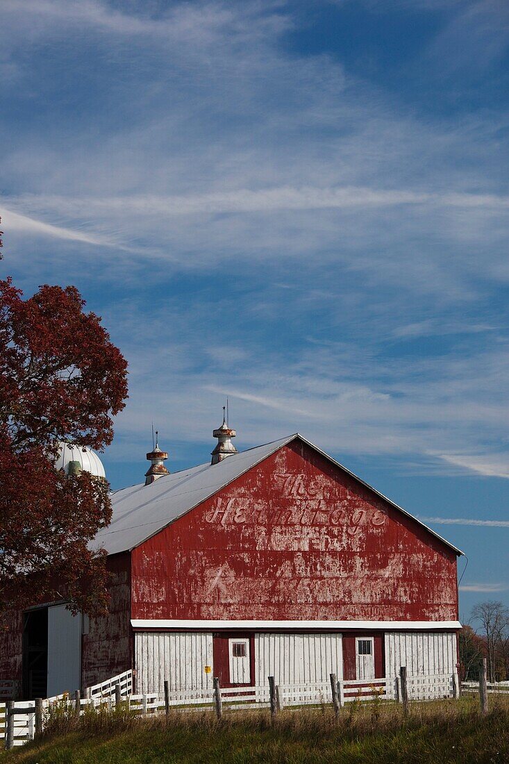 USA, West Virginia, Arbovale, Monongahela National Forest, old barn, autumn