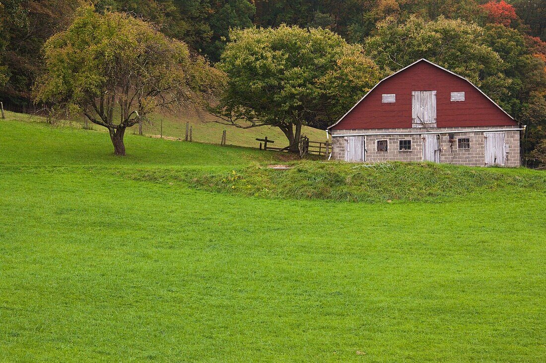 USA, West Virginia, Mountain Cove, barn, autumn