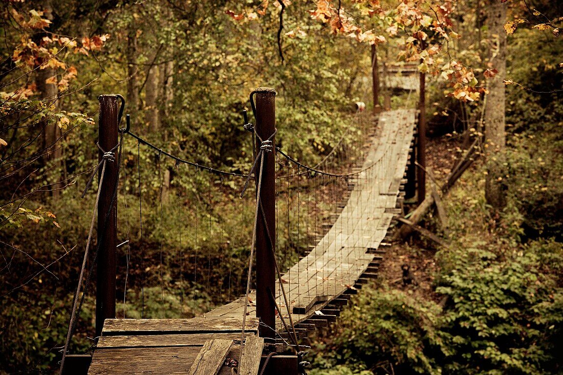 USA, West Virginia, New Richmond, National Coal Heritage Area, small hanging bridge