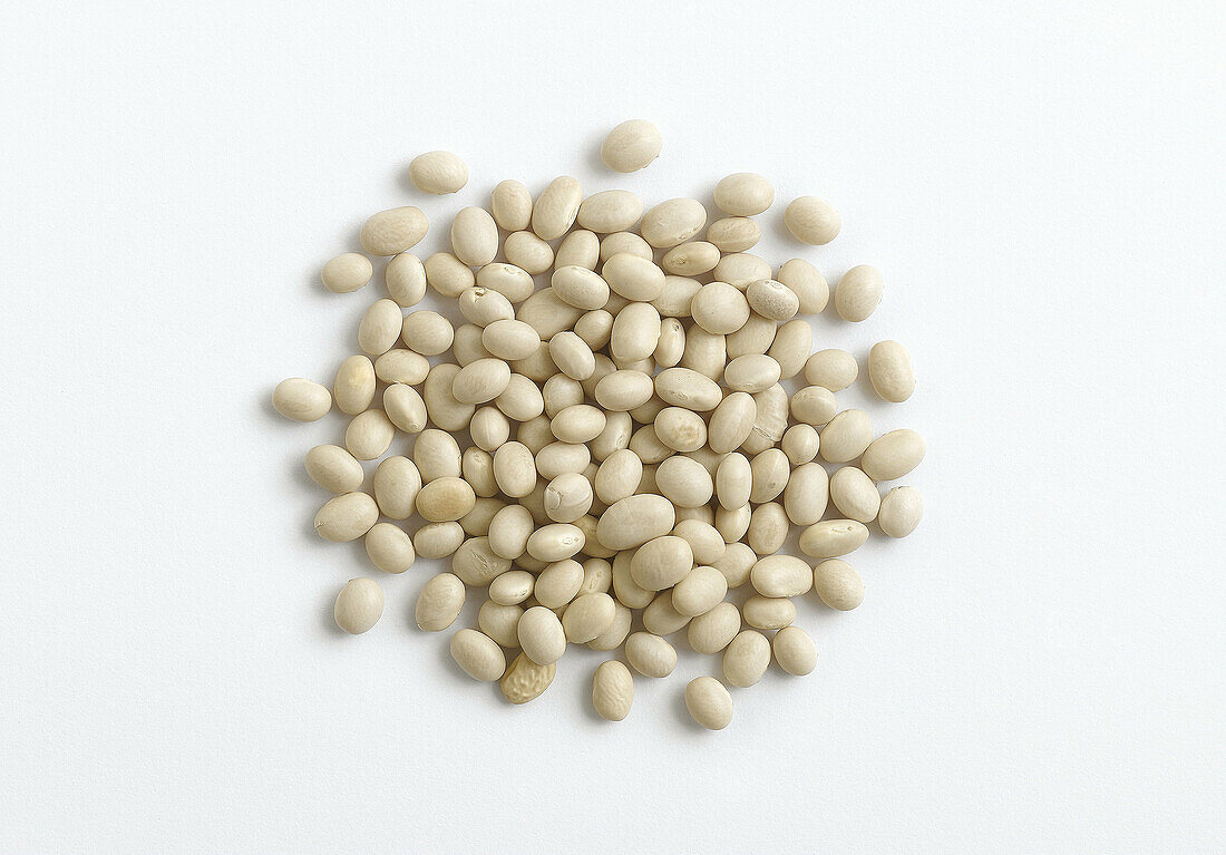 legume type  on white background