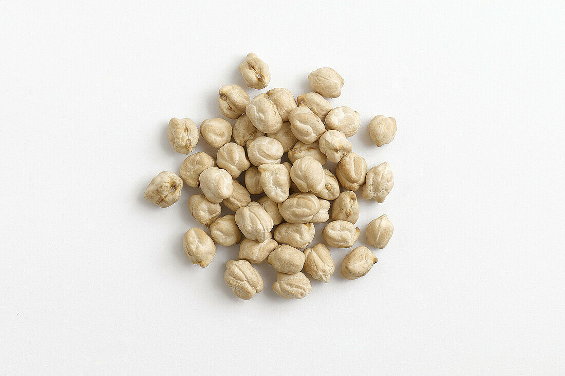 legume type on white background