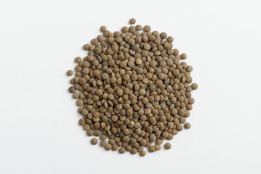 legume type on white background