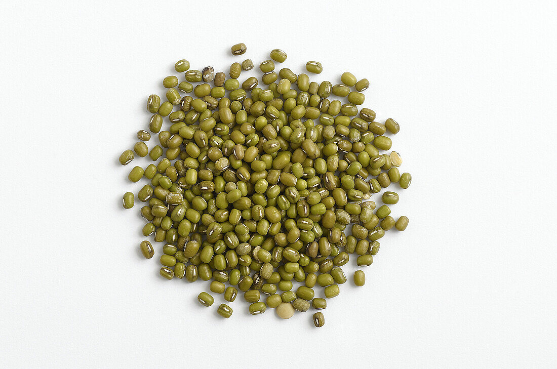 legume type on white background