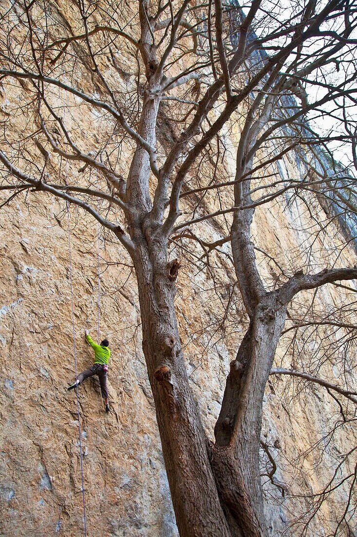 Escaladores en los alrededores de la Cueva de Covalanas, Ramales de la Victoria, Valle del Asón, Cantabria