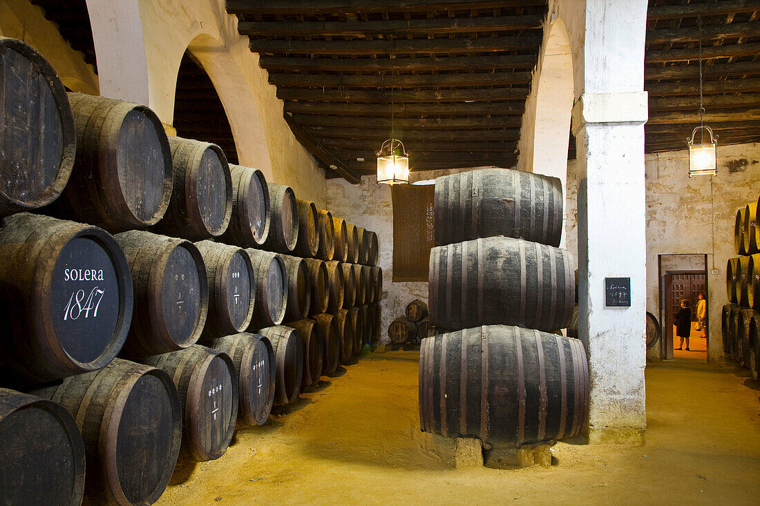 Gonzales Byass cellars, Jerez de la Frontera. Cadiz province, Andalusia, Spain