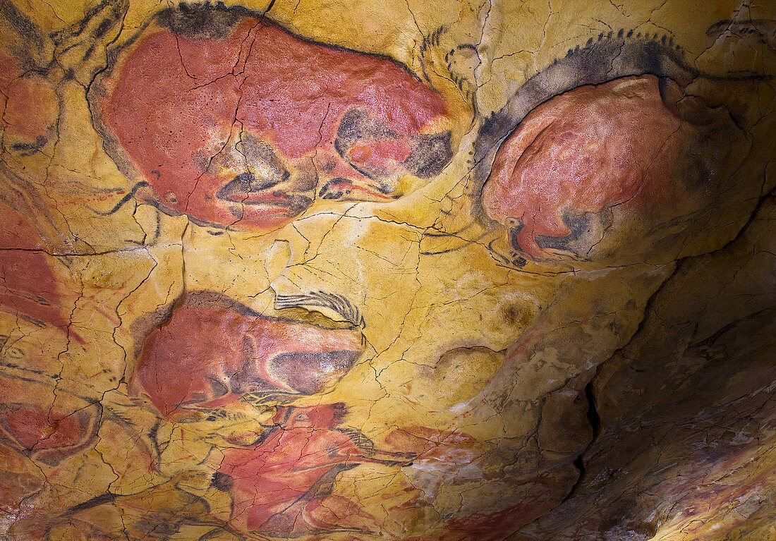 Upper Paleolithic cave paintings in the Cave of Altamira replica. Santillana del Mar, Cantabria, Spain