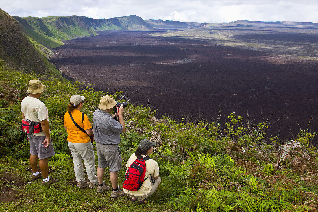 Volcan Chico, Sierra Negra shield volcano, Isabela Island, Galapagos Islands, Ecuador