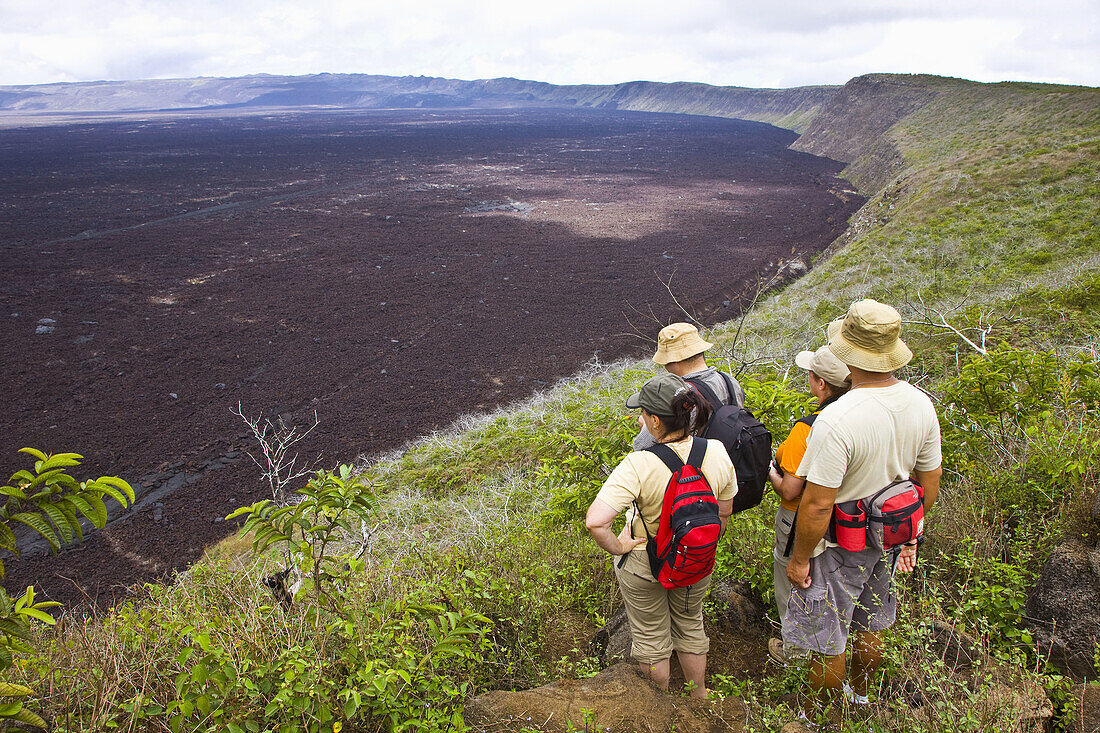 Volcan Chico, Sierra Negra shield volcano, Isabela Island, Galapagos Islands, Ecuador