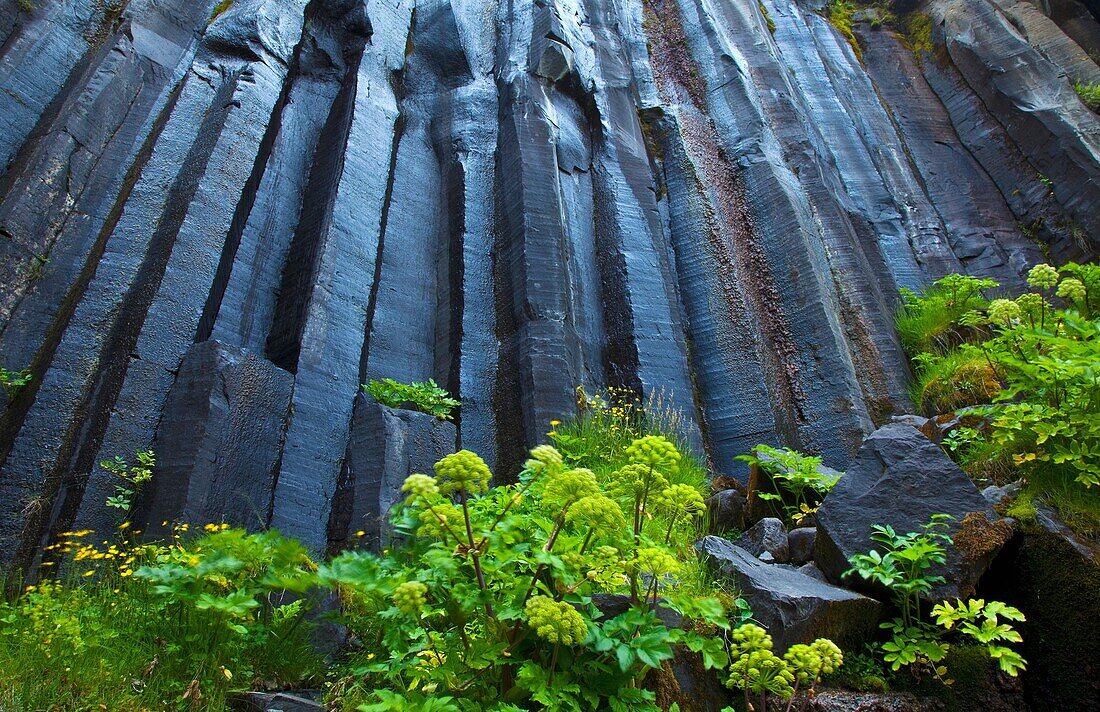 Cascada Svartifoss, Parque Nacional Skaftafell, Islandia