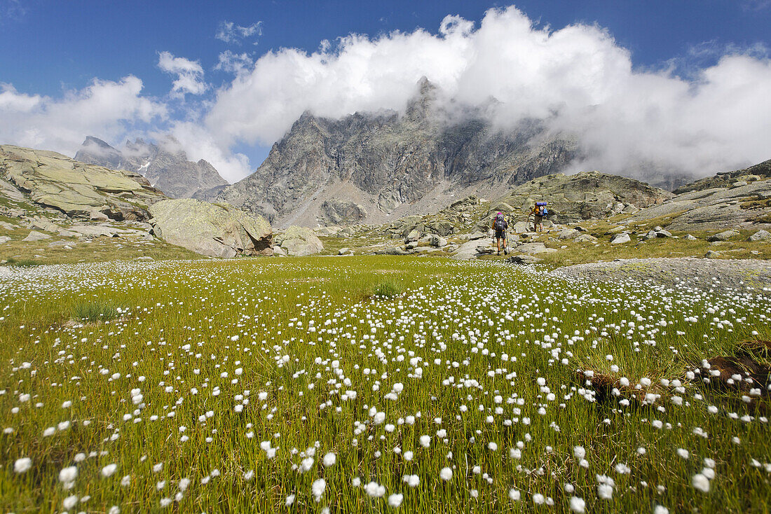 Couple hiking along a moor, Alpe La Motta, Vallone dei Gias della Losa, Alta Via del Canavese, Gran Paradiso National Park, Piedmont, Italy