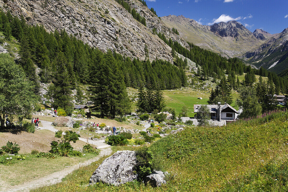 Giardino Alpino Paradisia, Valnontey Tal, Nationalpark Gran Paradiso, Aostatal, Italien