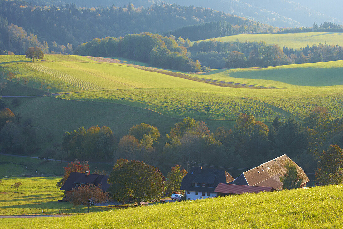 Fields and pastures near the village of St. Peter, Autumn, Southern Part of Black Forest, Black Forest, Baden-Württemberg, Germany, Europe