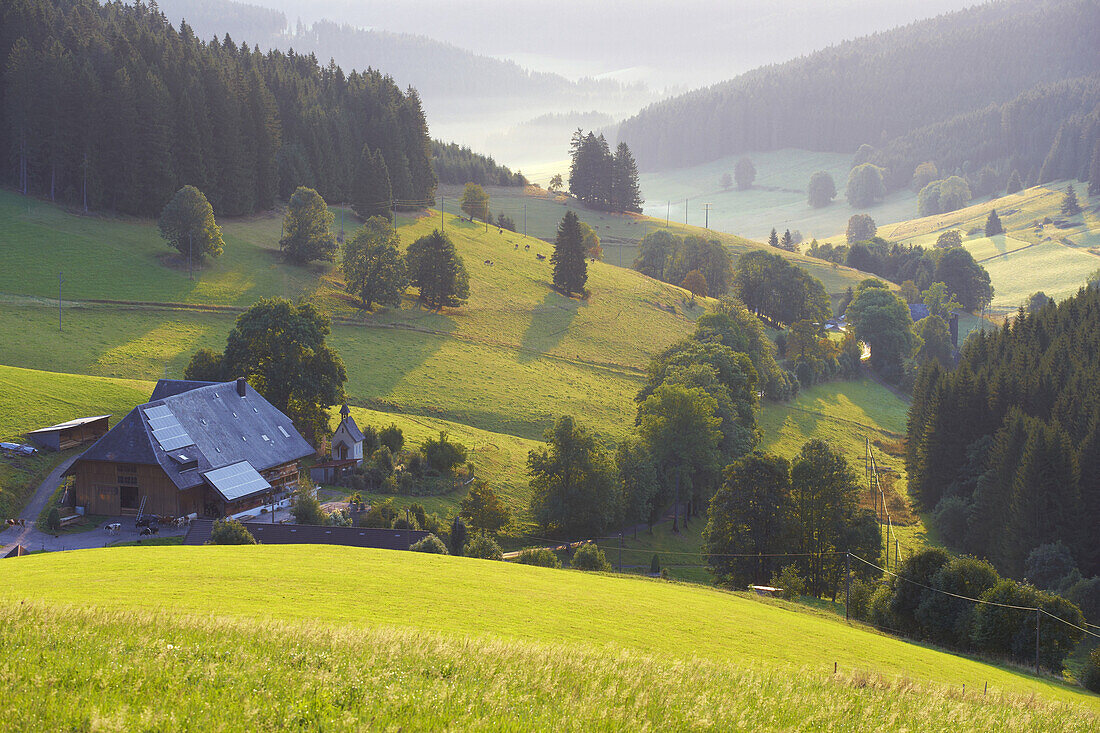 Benediktenhof in Schildwende, Jostal, Titisee-Neustadt, Südlicher Schwarzwald, Schwarzwald, Baden-Württemberg, Deutschland, Europa