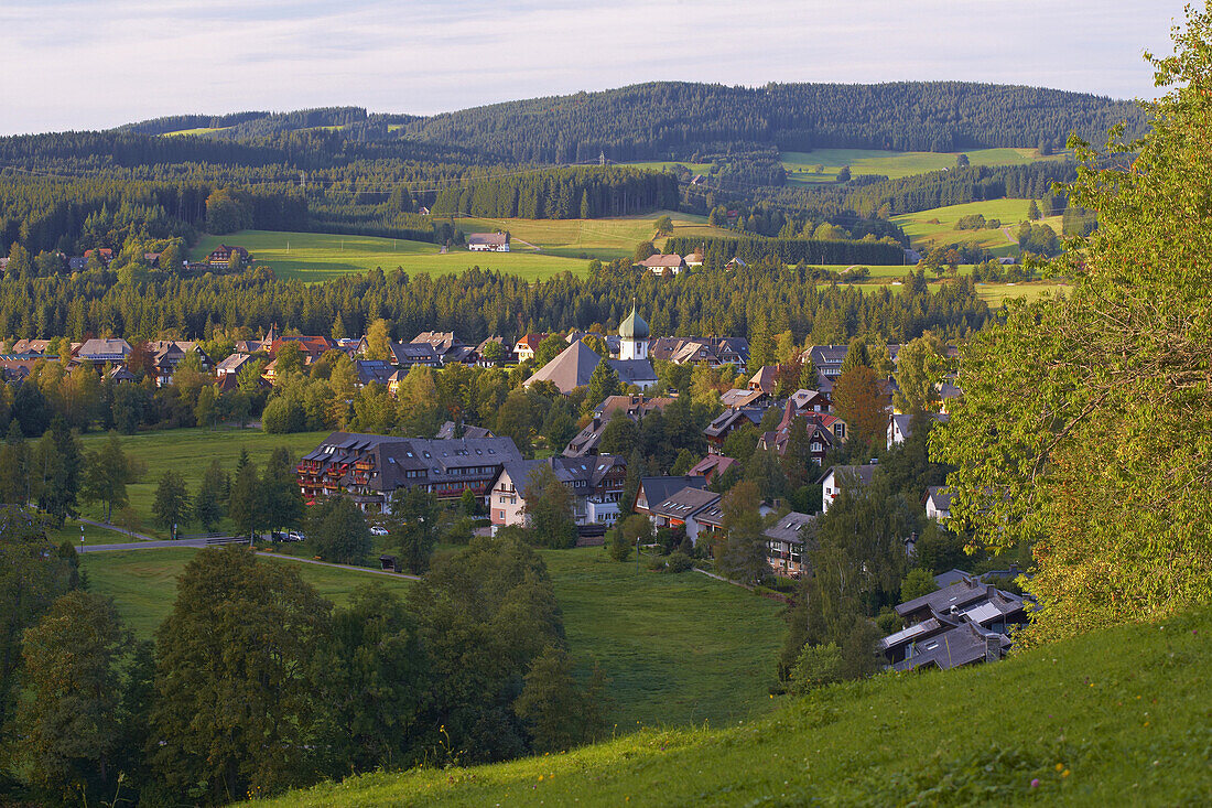 Blick an Sommerabend auf Hinterzarten, Südlicher Schwarzwald, Schwarzwald, Baden-Württemberg, Deutschland, Europa