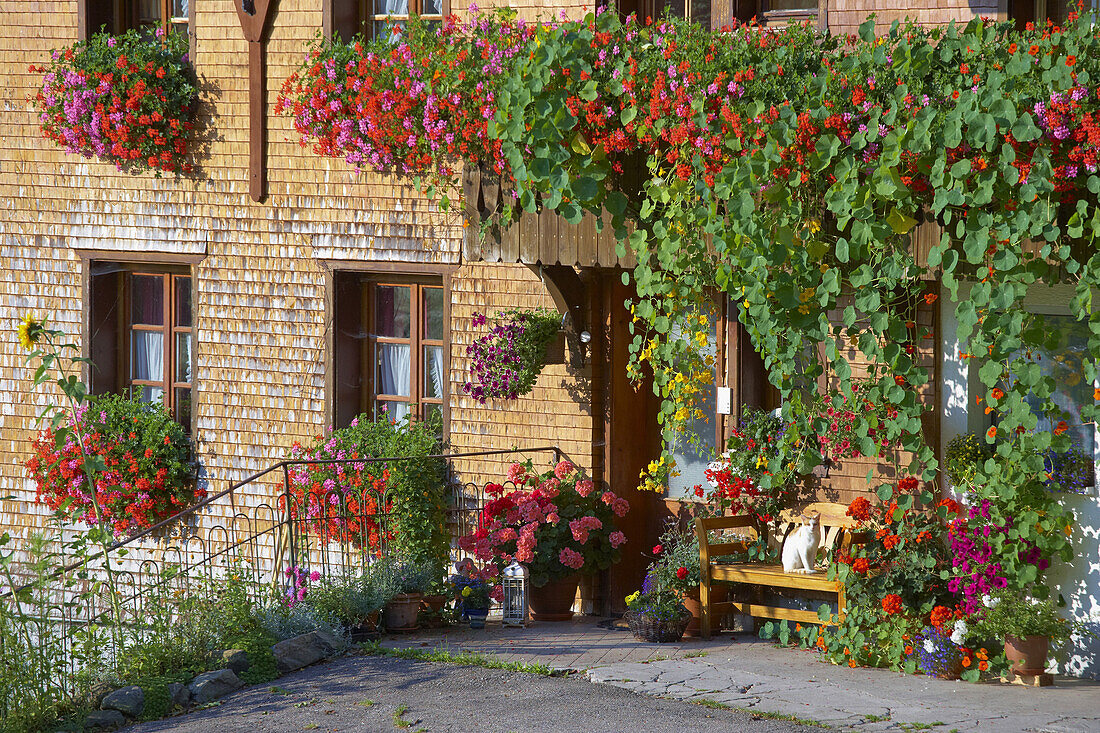 Griesbachhof im Jostal, Titisee-Neustadt, Südlicher Schwarzwald, Schwarzwald, Baden-Württemberg, Deutschland, Europa