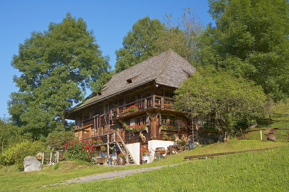 Mill Öhlermühle at Schildwende near the town of Titisee-Neustadt, Jostal, Southern part of the Black Forest, Baden-Württemberg, Germany, Europe