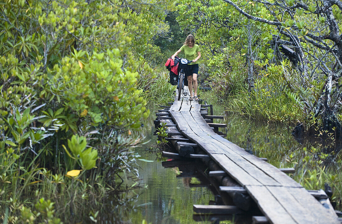 Woman pushing a mountainbike along footbridge between mangroves, Masoala National Park, Madagasca