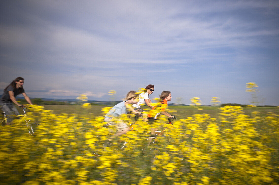 Family cycling along canola field, Innviertel, Upper Austria, Austria