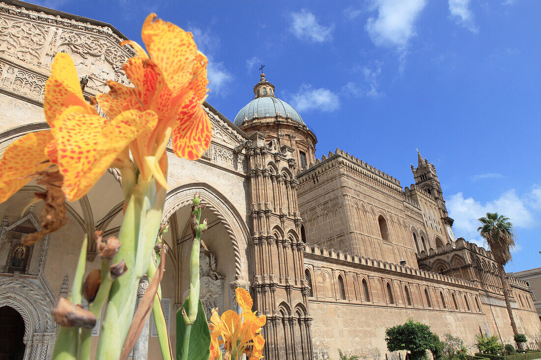 Flowers in front of cathedral Maria Santissima Assunta, Square Piazza Cattedrale, Palermo, Province Palermo, Sicily, Italy, Europe