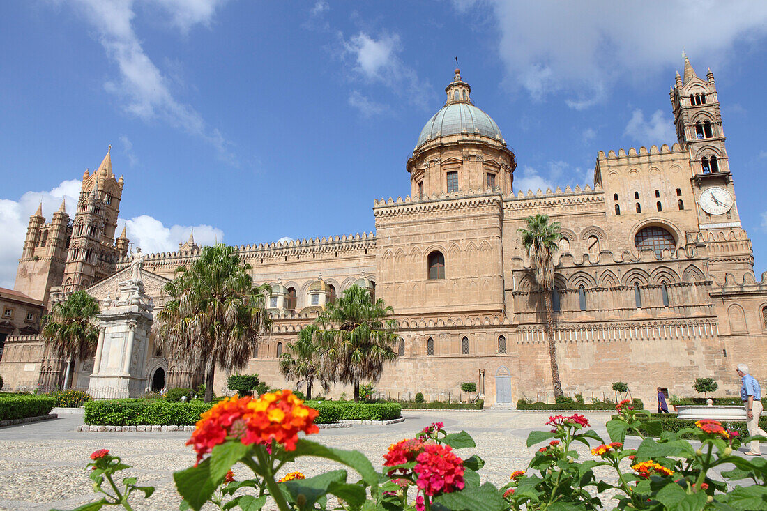 Flowers in front of cathedral Maria Santissima Assunta, Square Piazza Cattedrale, Palermo, Province Palermo, Sicily, Italy, Europe