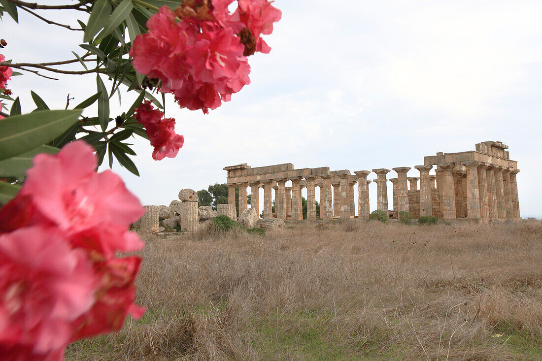 Griechischer Hera Tempel in Selinunte, Provinz Trapani, Sizilien, Italien, Europa