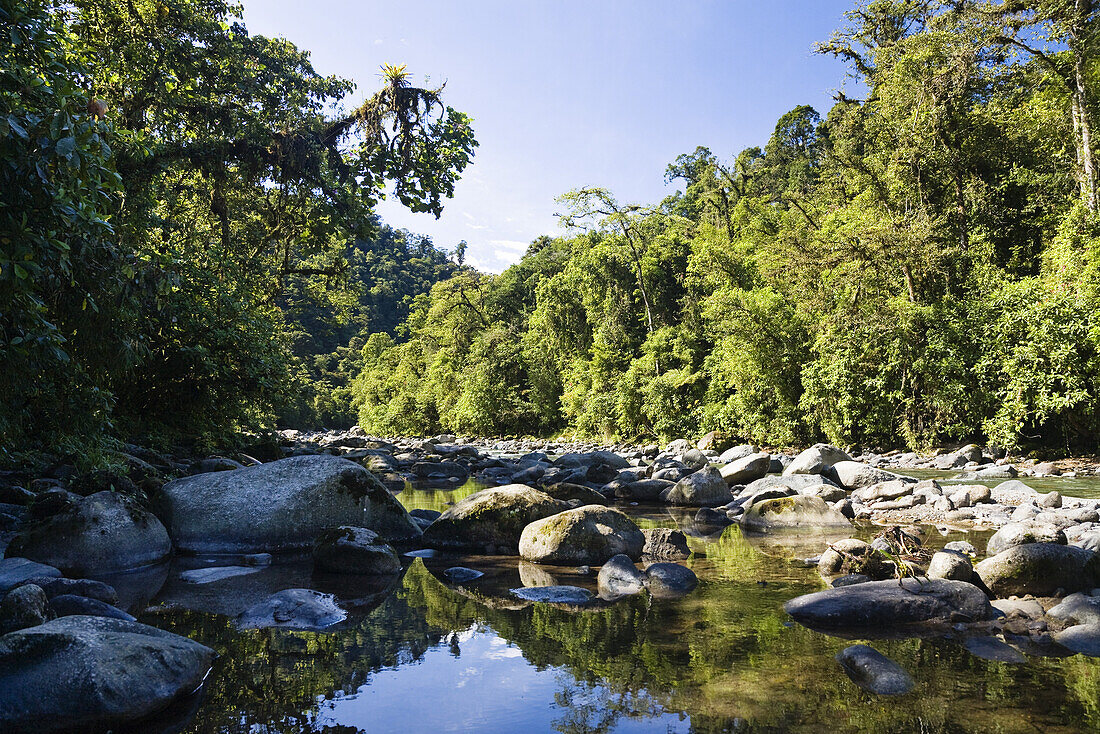 Regenwald, Rio Orosi, Tapanti Nationalpark, Costa Rica
