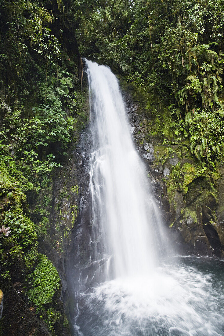 La Paz waterfalls, rainforest, Costa Rica, Central America