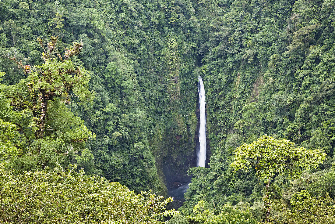 La Paz waterfalls, rainforest, Costa Rica