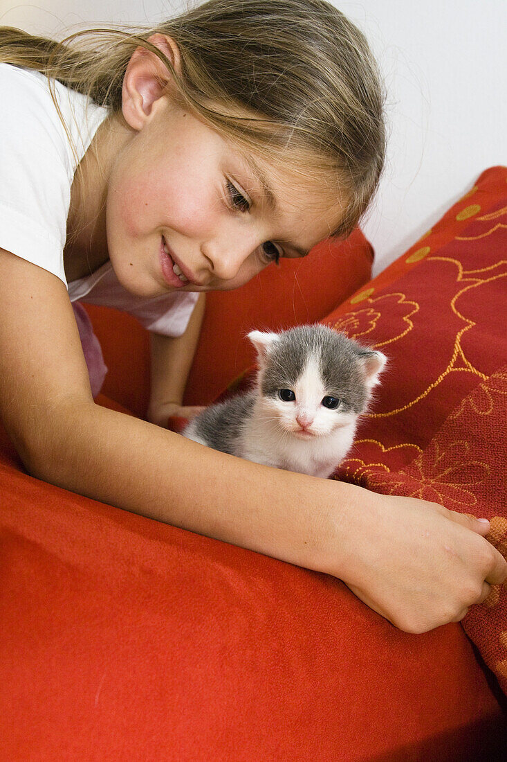 Mädchen mit junger Hauskatze, Bayern, Deutschland