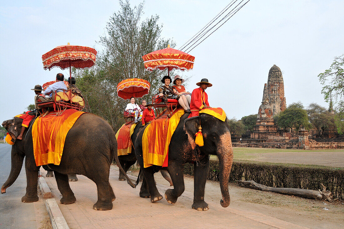 Elefanten mit Touristen am Wat Phra Ram in der alten Königsstadt Ayutthaya, Thailand, Asien