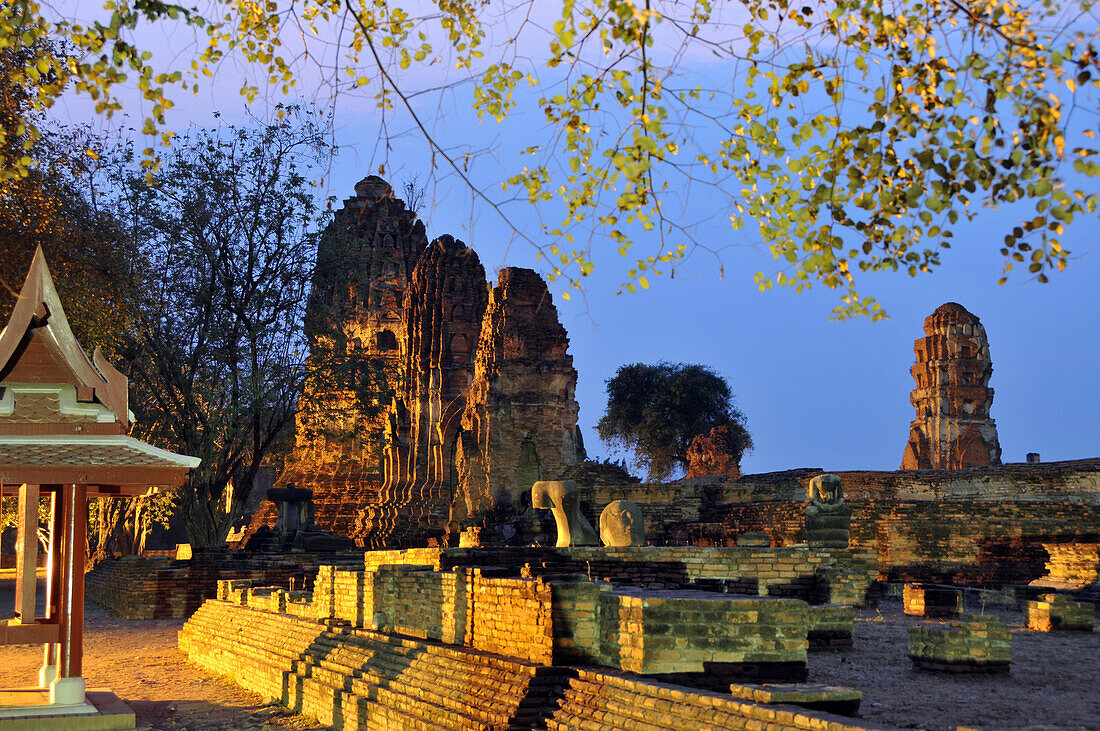 Wat Mahathat and Raj Burana in the evening, old kingdomtown Ayutthaya, Thailand, Asia