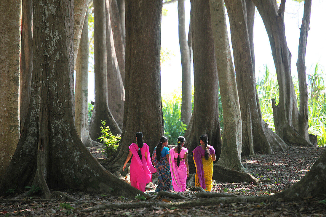 Indian women wearing colourful saris walking through the coastal forest of Radha Nagar Beach, Beach 7, Havelock Island, Andamans, India